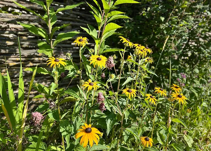 Toekomst 27 - Not Intended For Company Or Work-related Holiday home