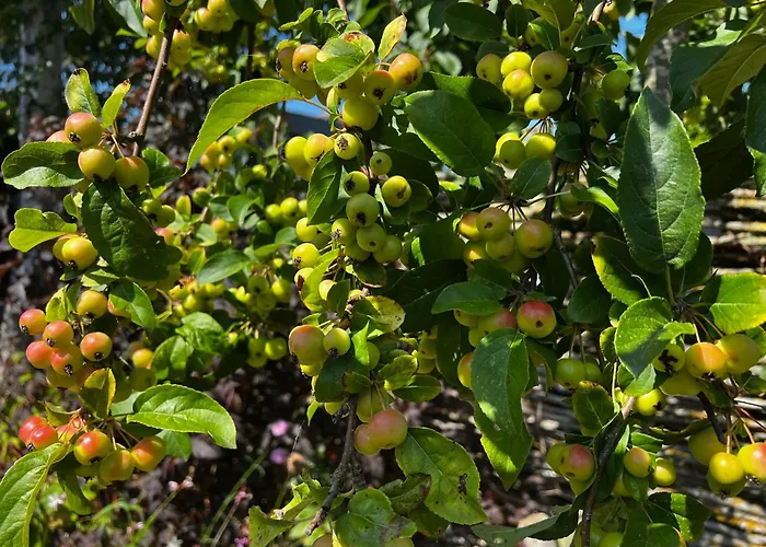 Toekomst 27 - Not Intended For Company Or Work-related Holiday home Ouddorp