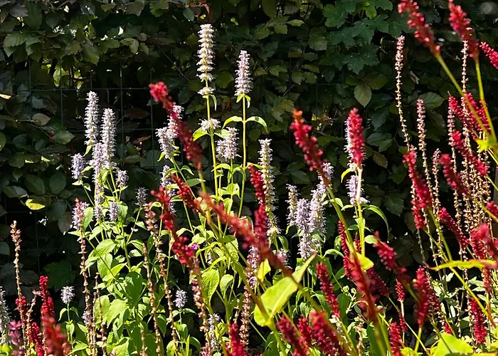 Toekomst 27 - Not Intended For Company Or Work-related Ouddorp