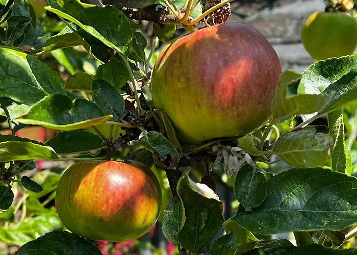 Holiday home Toekomst 27 - Not Intended For Company Or Work-related