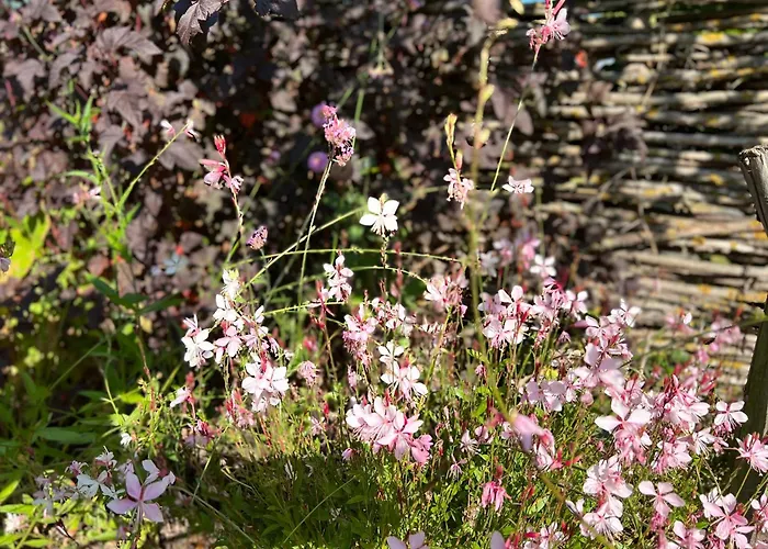 Toekomst 27 - Not Intended For Company Or Work-related Holiday home *