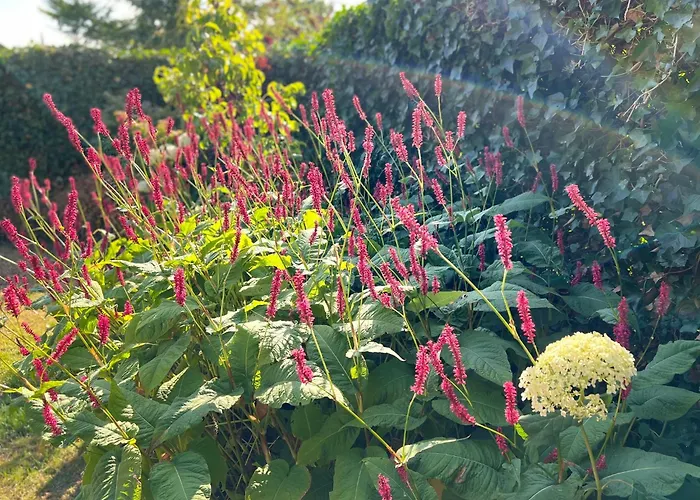 Toekomst 27 - Not Intended For Company Or Work-related * Ouddorp