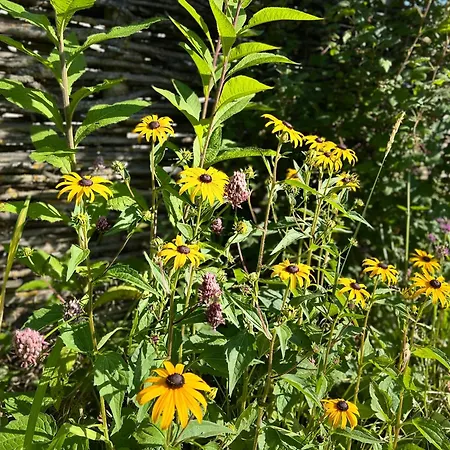 Toekomst 27 - Not Intended For Company Or Work-related Dom wakacyjny