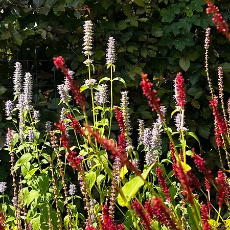 Toekomst 27 - Not Intended For Company Or Work-related Ouddorp