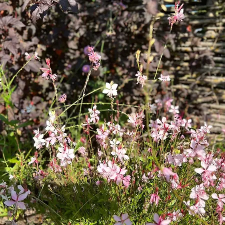 Toekomst 27 - Not Intended For Company Or Work-related Dom wakacyjny *